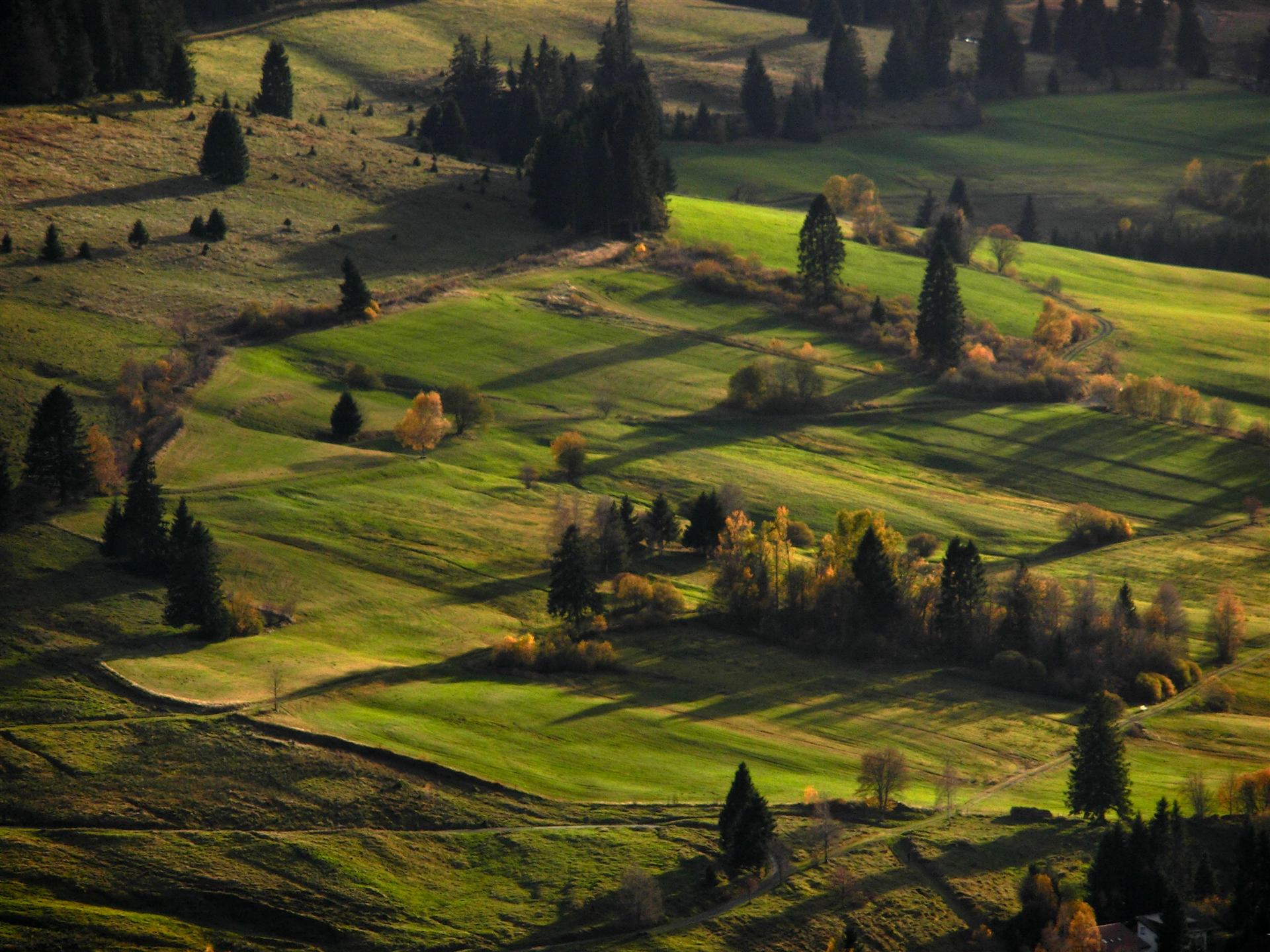 Blick auf Bernau von Oben