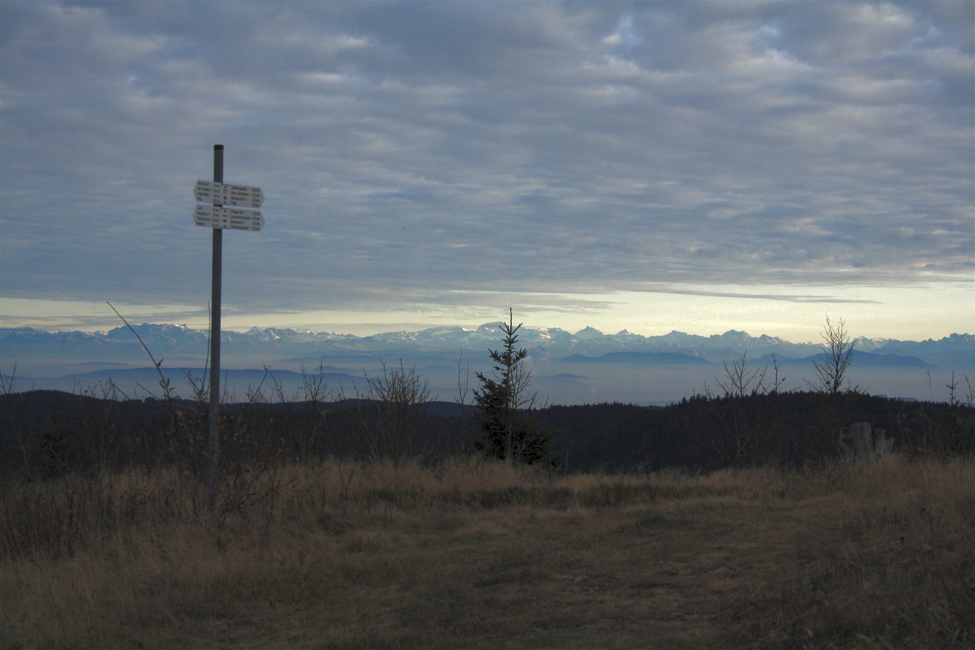 Alpenkette vom Herzogenhorn